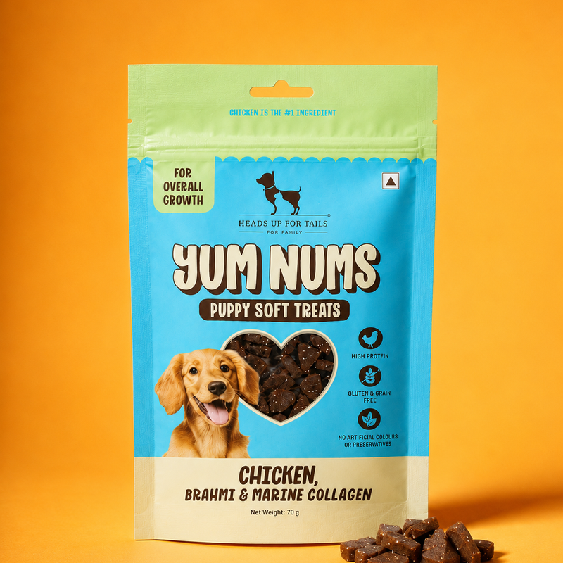 Product photography — Yum Nums puppy treats